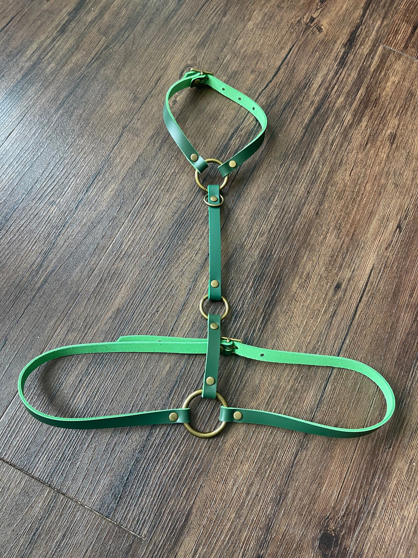 Green Simplex Harness