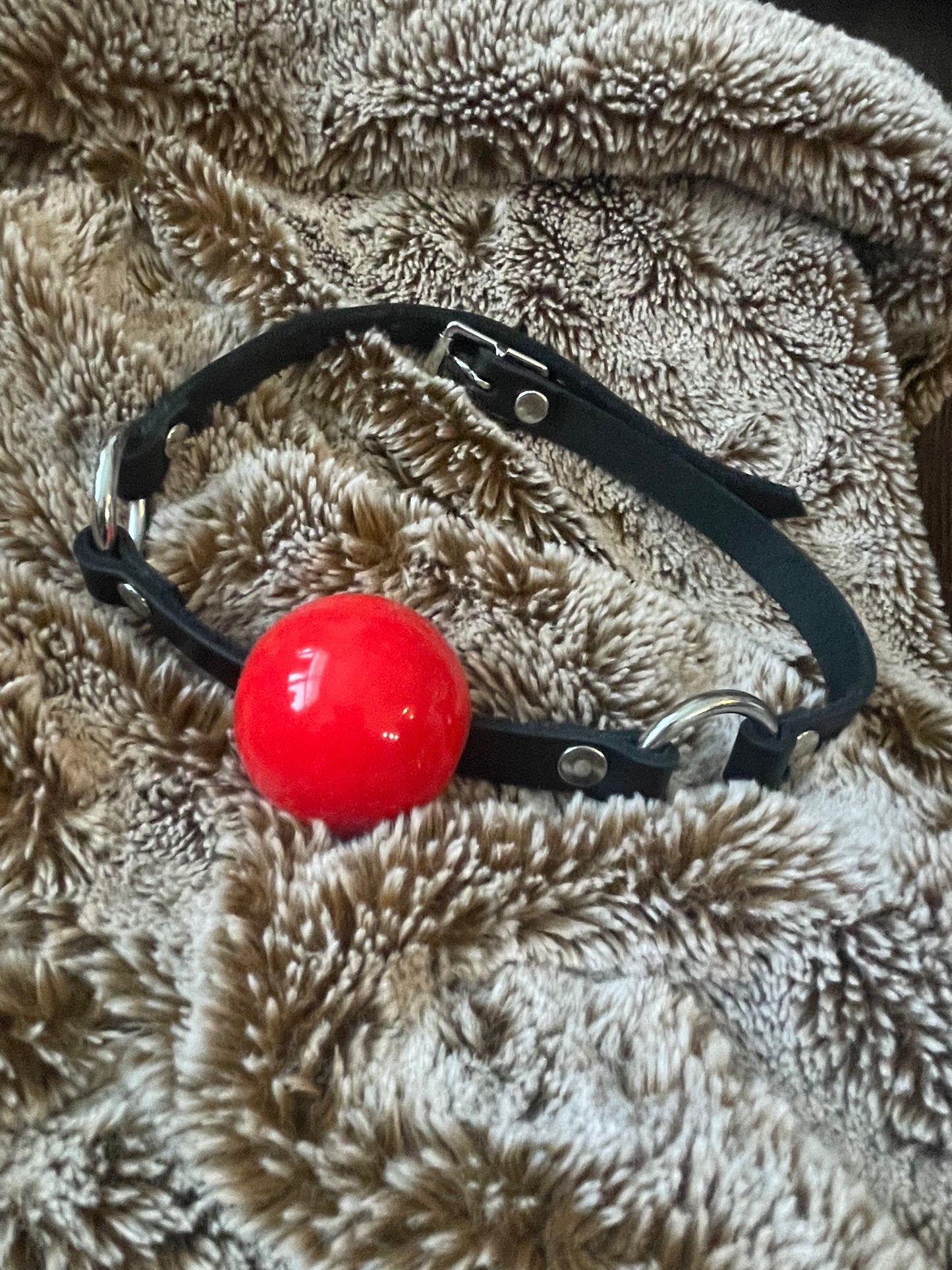 Red Ball Gag