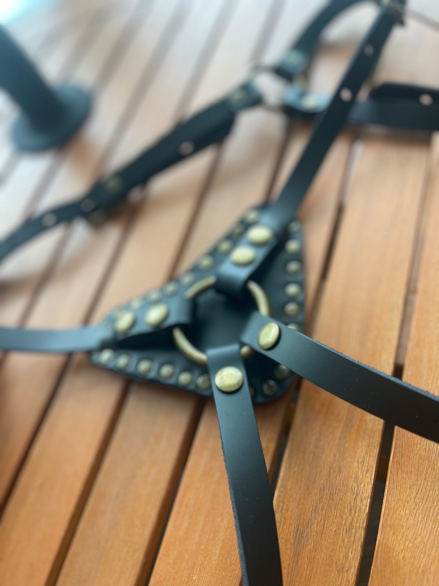 Manifesto Strap-On Harness