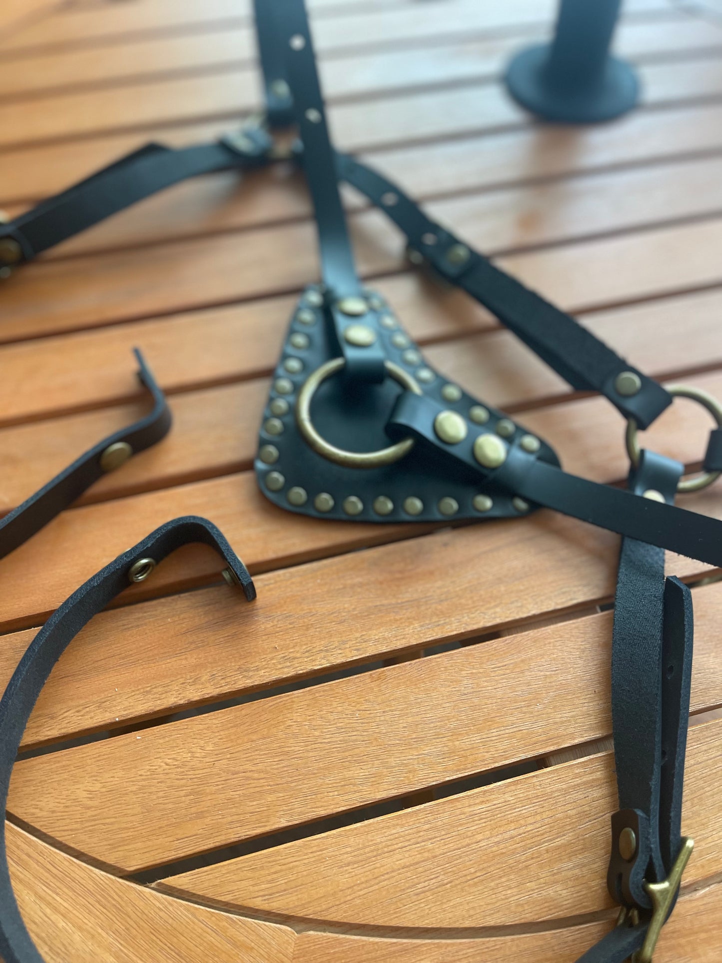 Manifesto Strap-On Harness