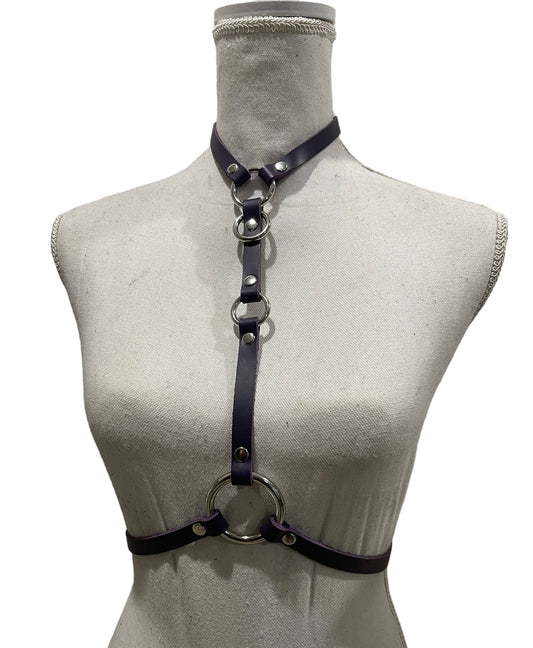 Purple Simplex Harness