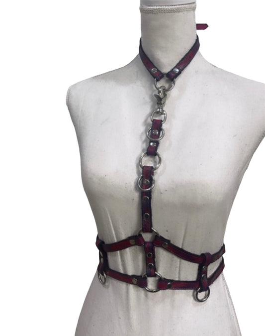 Feather Complex Harness