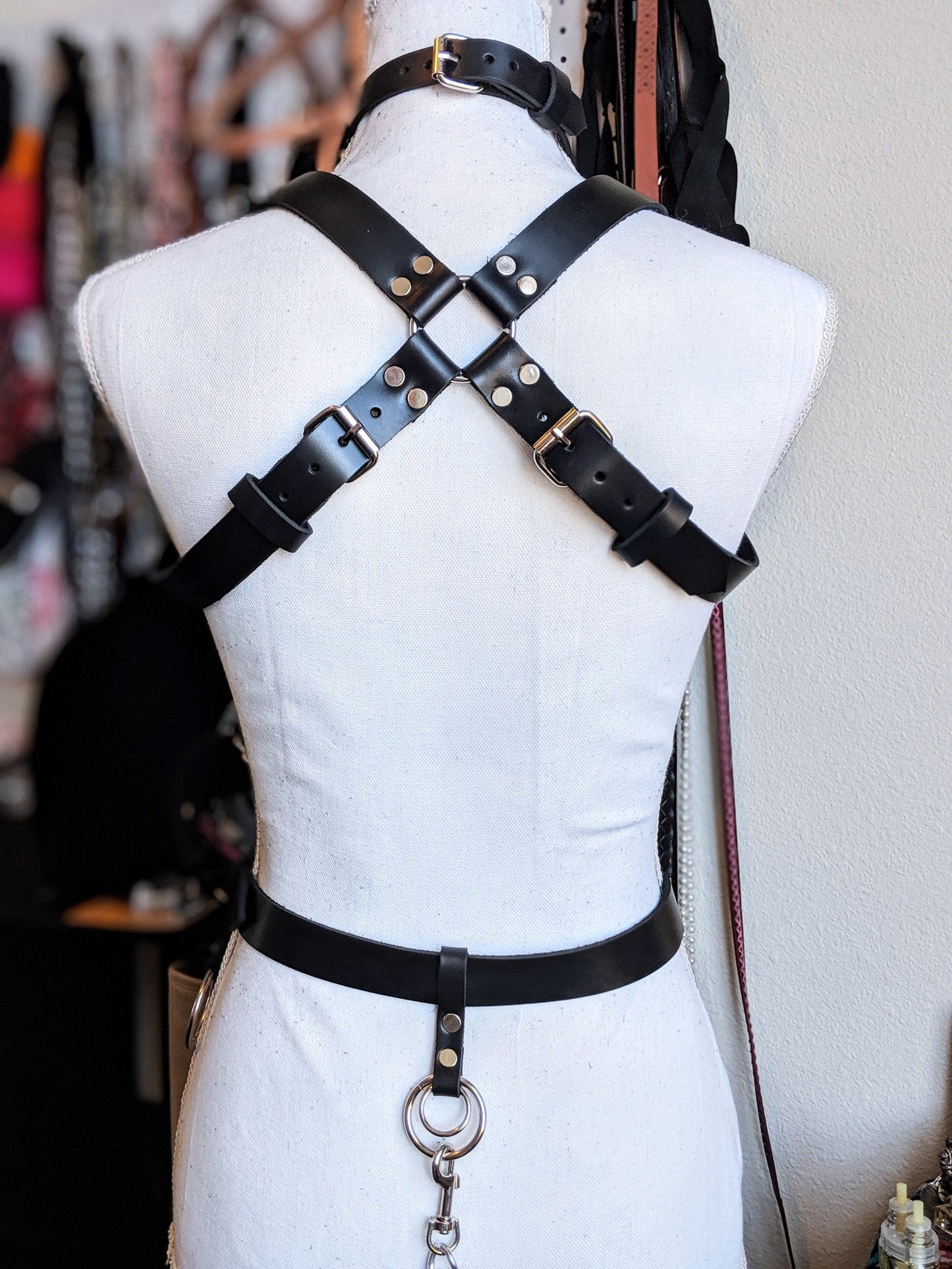 Lorica 2.0 Harness