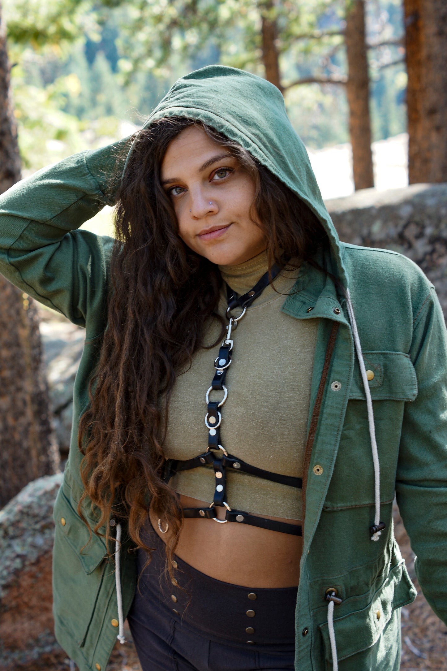 Complex Harness