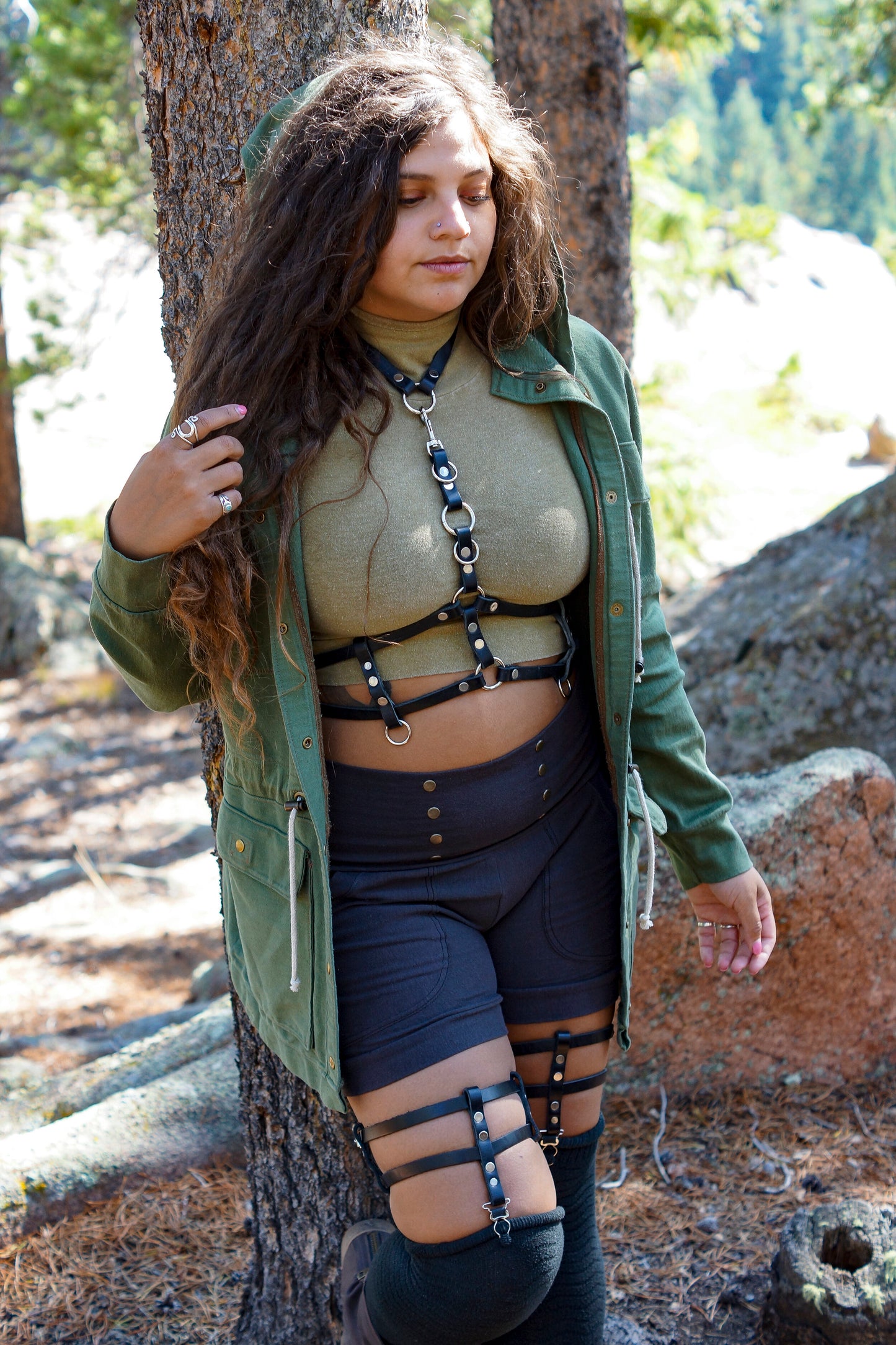 Complex Harness
