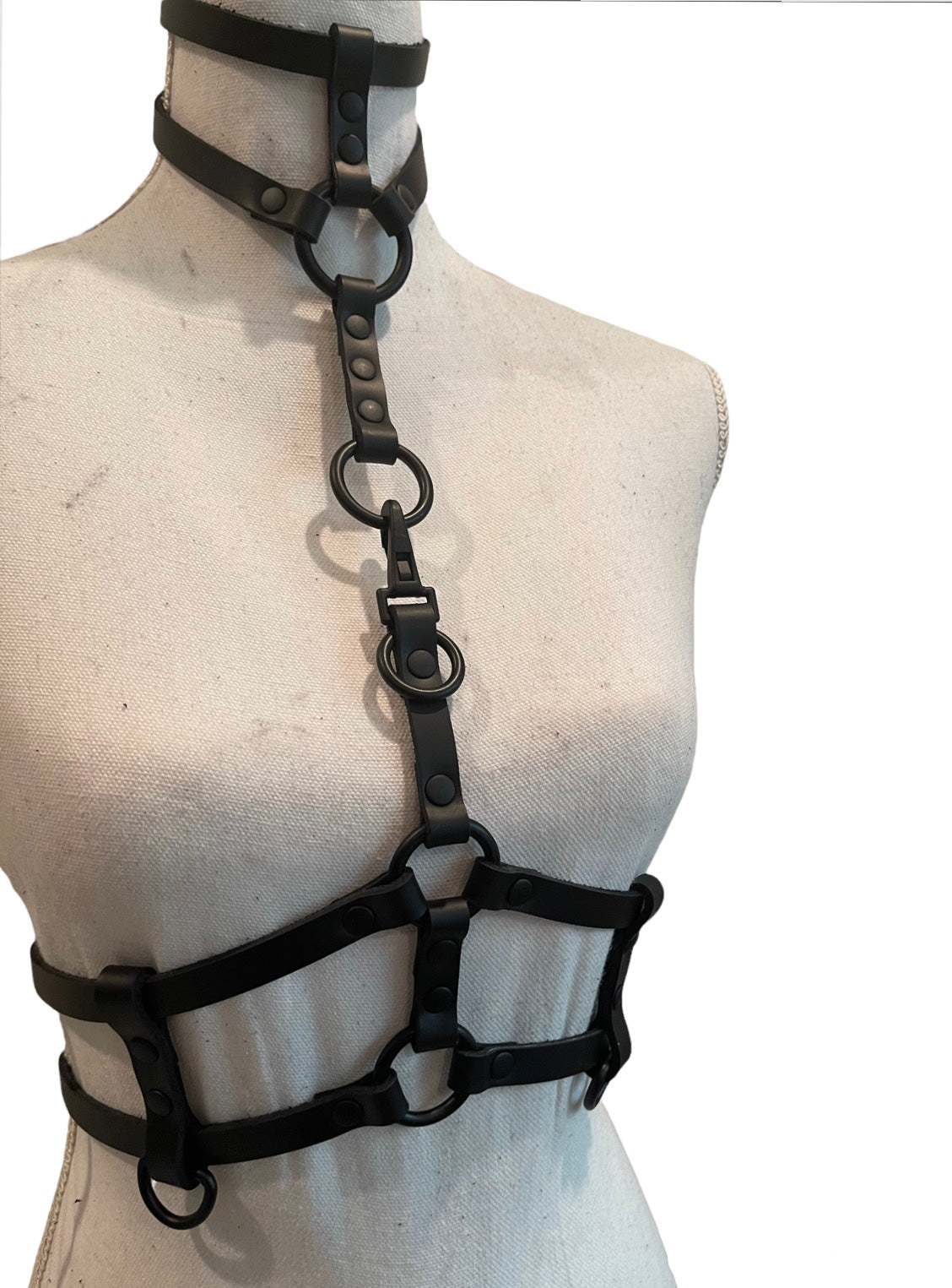 Complex Harness