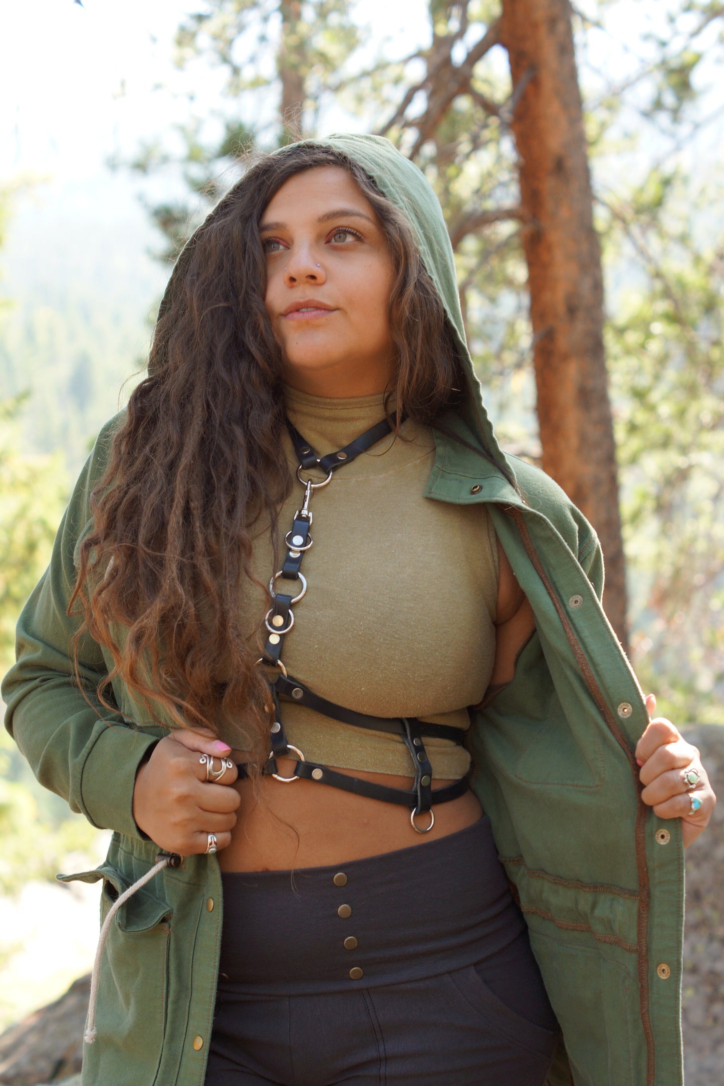 Complex Harness