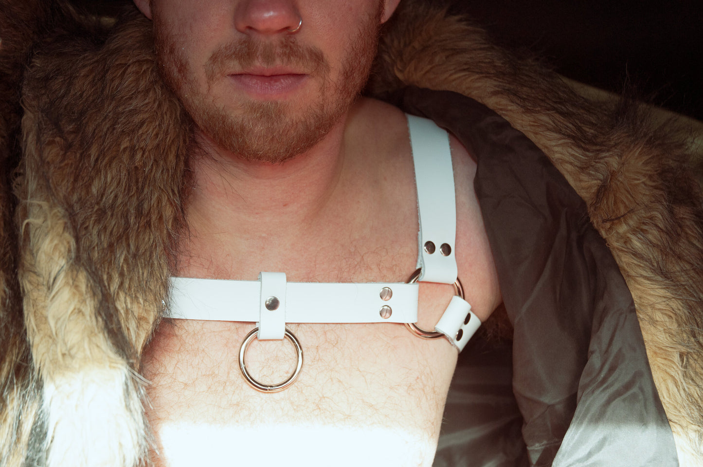 Ordo Harness