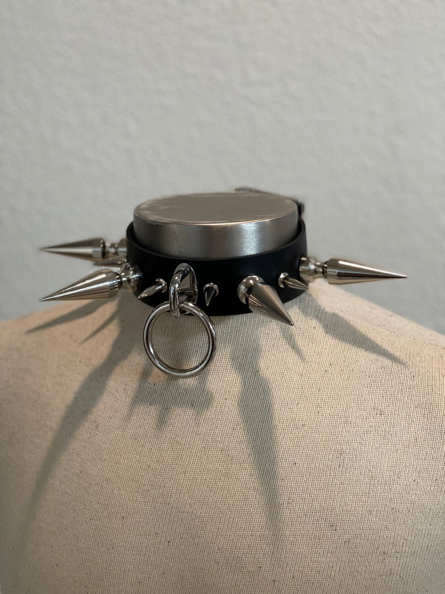 Hailey's Collar
