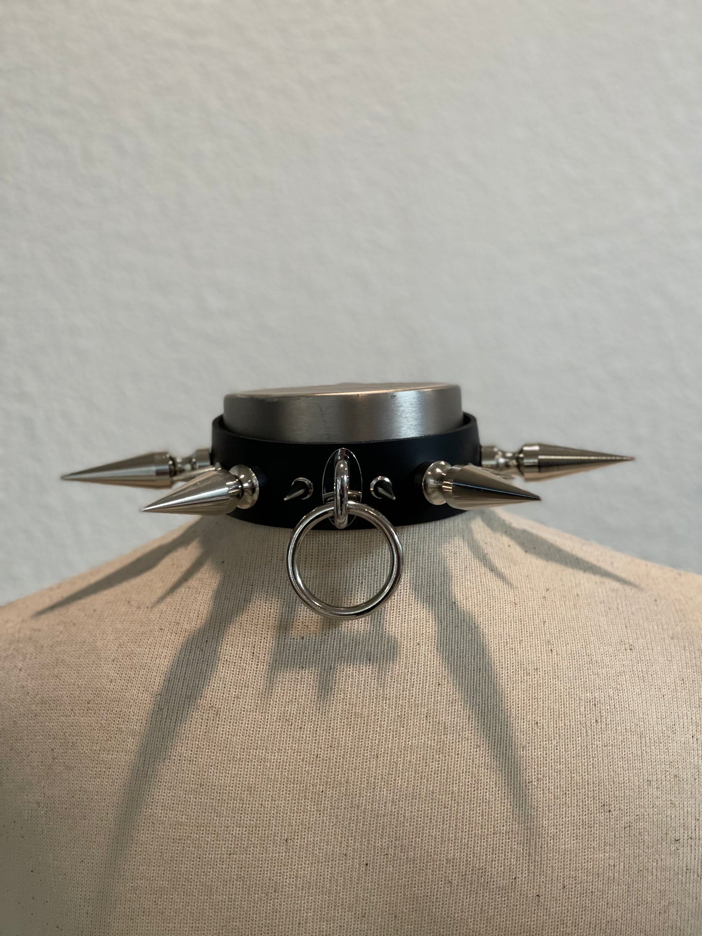 Hailey's Collar