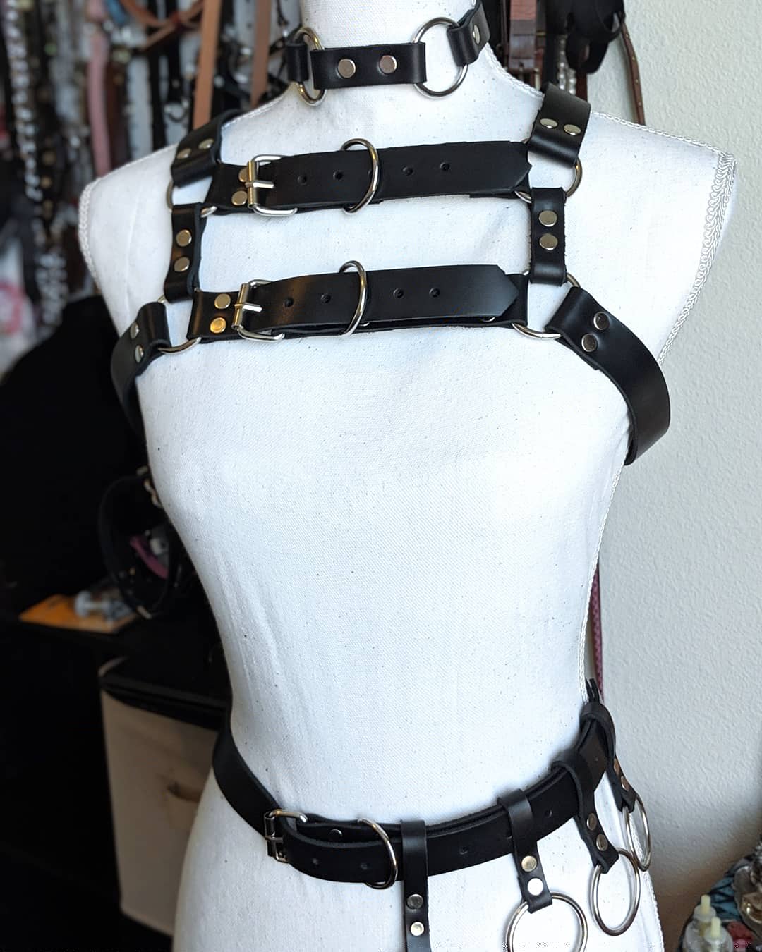Lorica 2.0 Harness