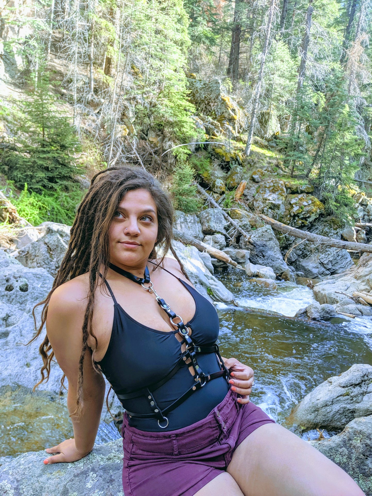 Complex Harness