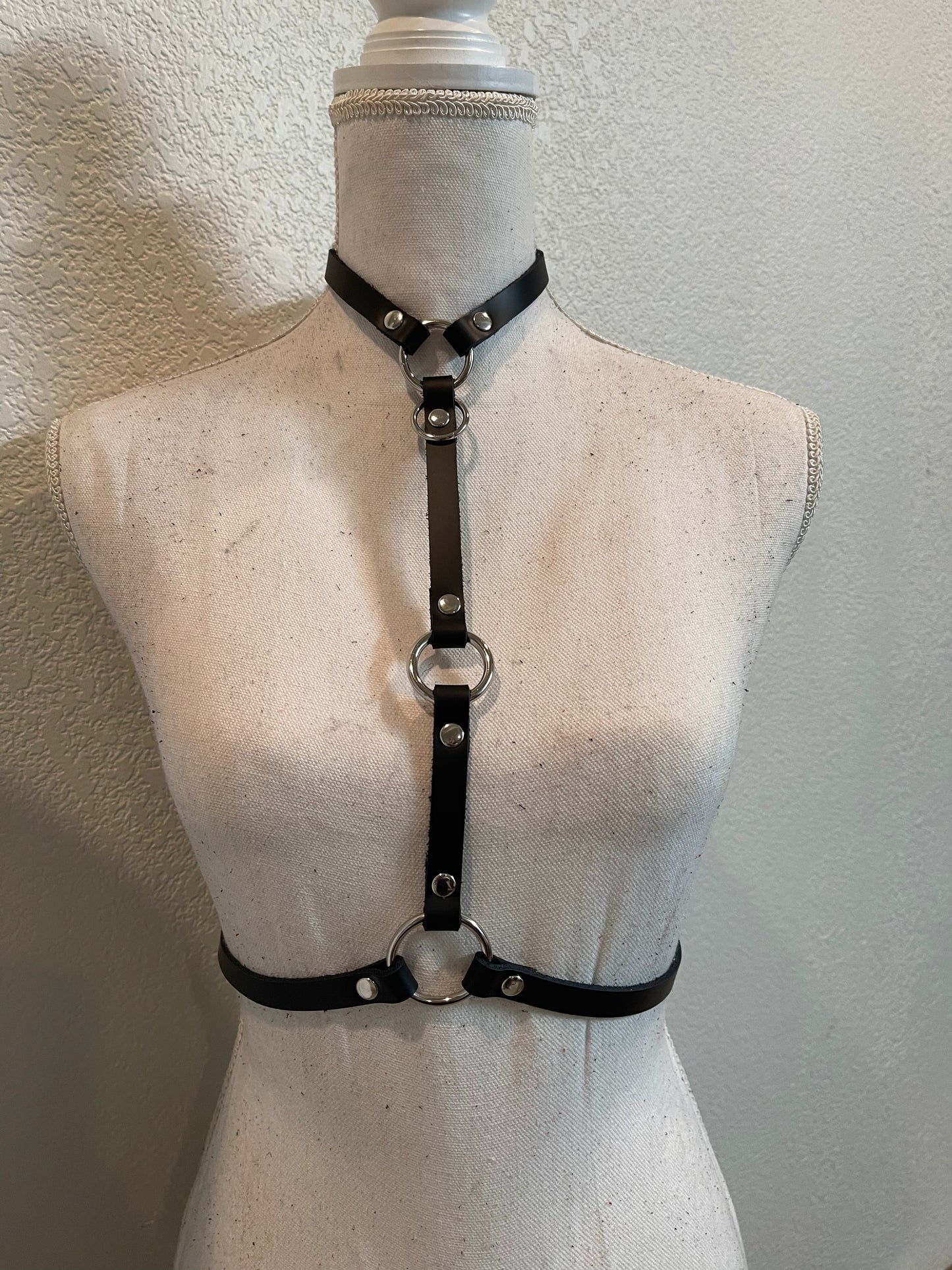 Simplex Harness