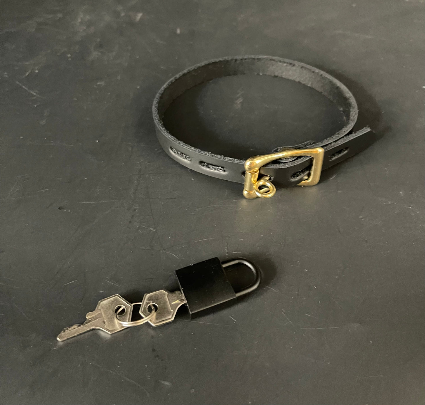 Sera Locking Collar