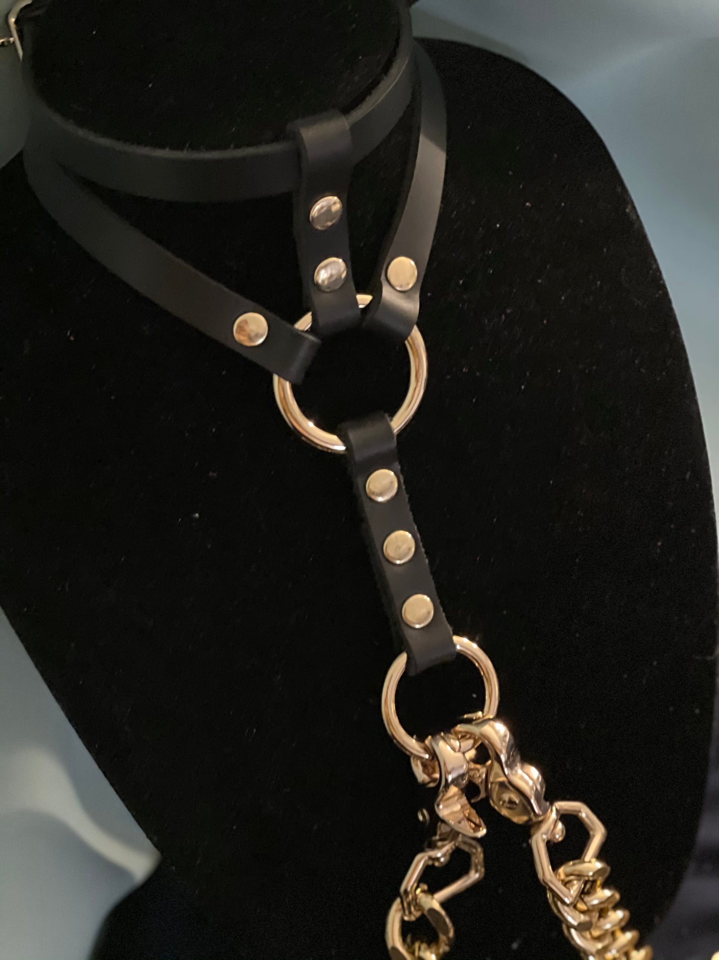 Status Collar