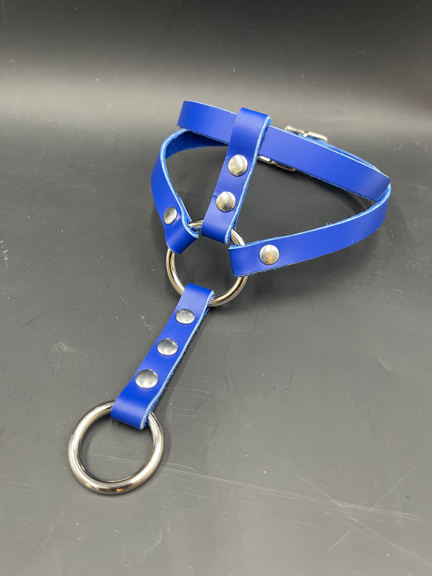 Status Collar