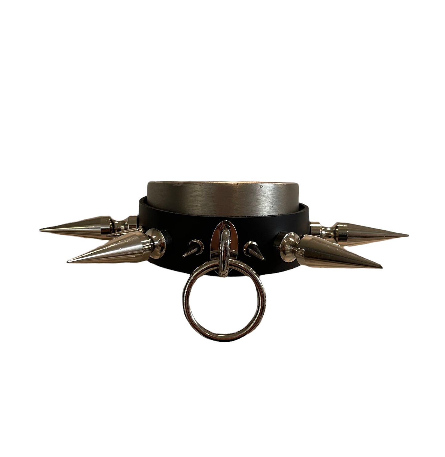 Hailey's Collar