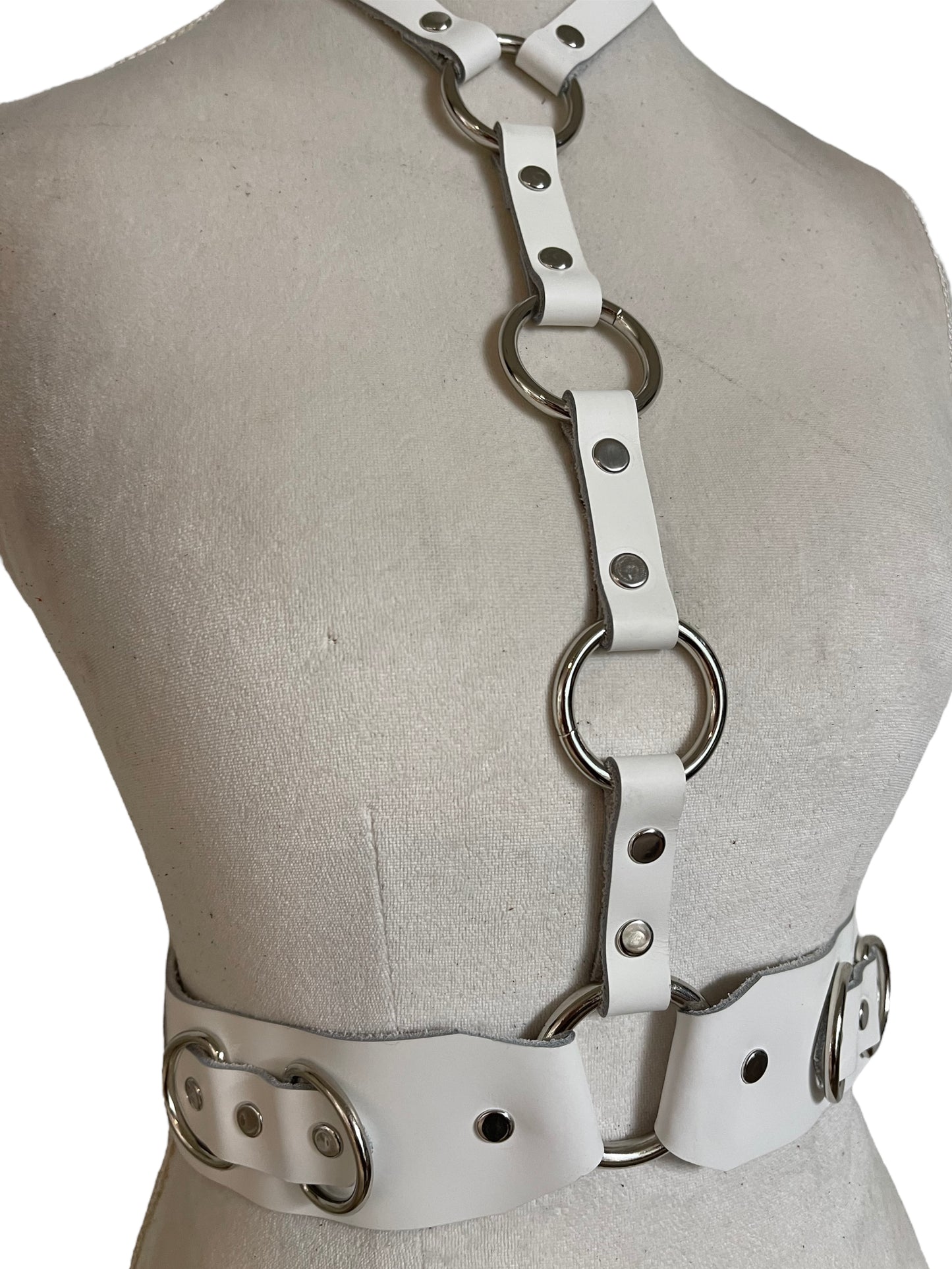 Alvo Harness