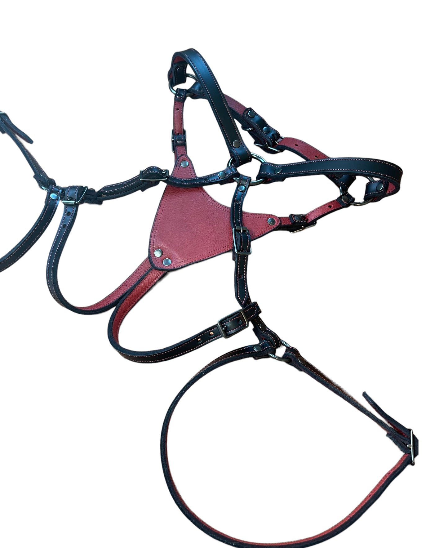 Regiis Strap-On Harness