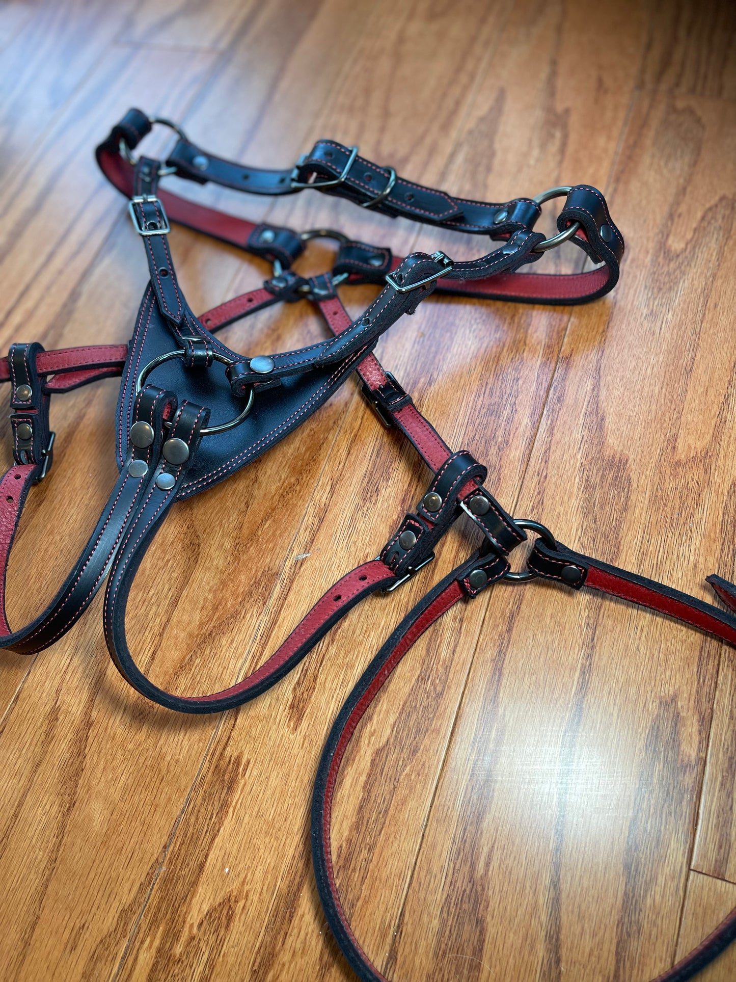 Regiis Strap-On Harness