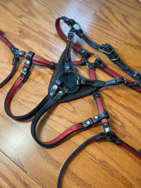 Regiis Strap-On Harness
