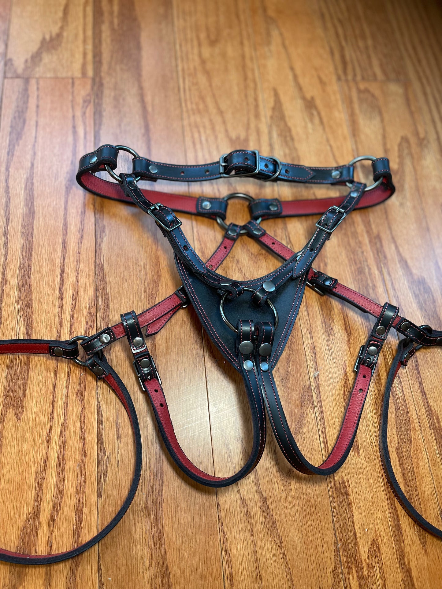 Regiis Strap-On Harness