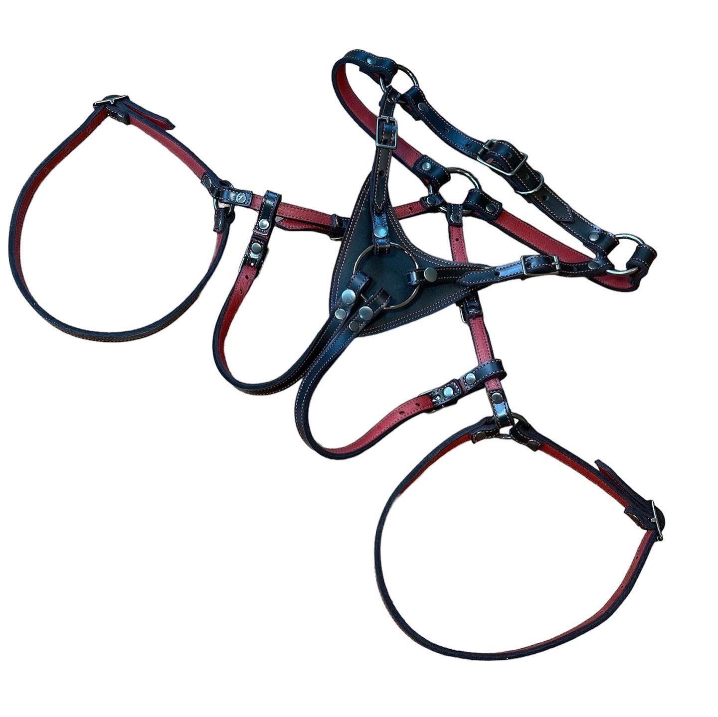 Regiis Strap-On Harness