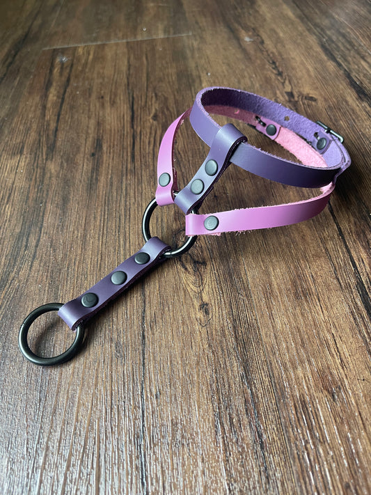 Purple on Purple Status Collar