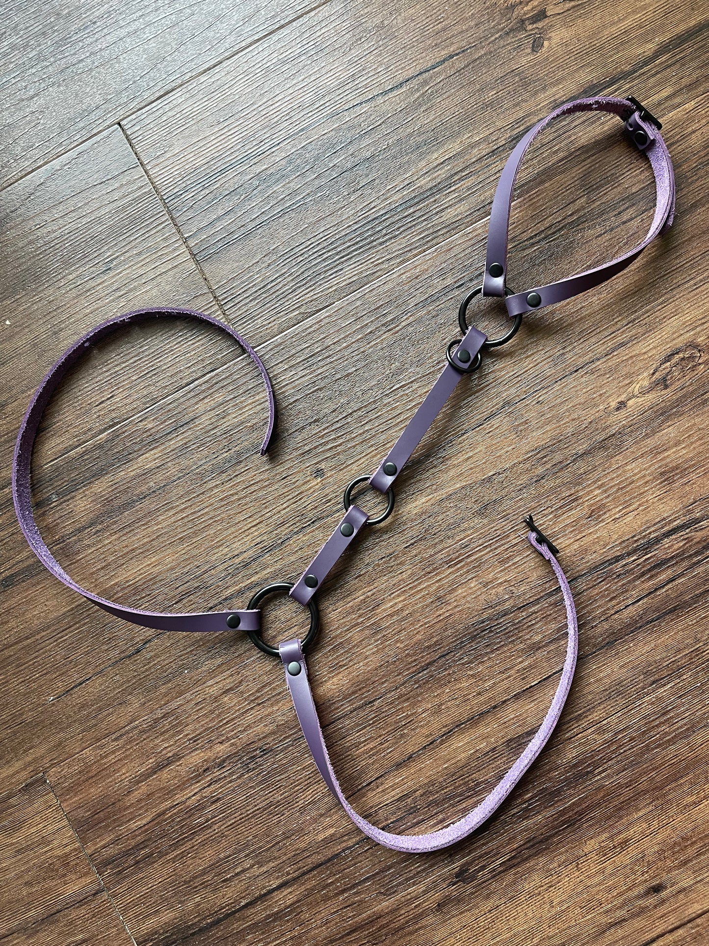 Purple Simplex Harness
