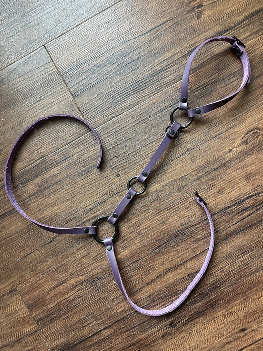 Purple Simplex Harness