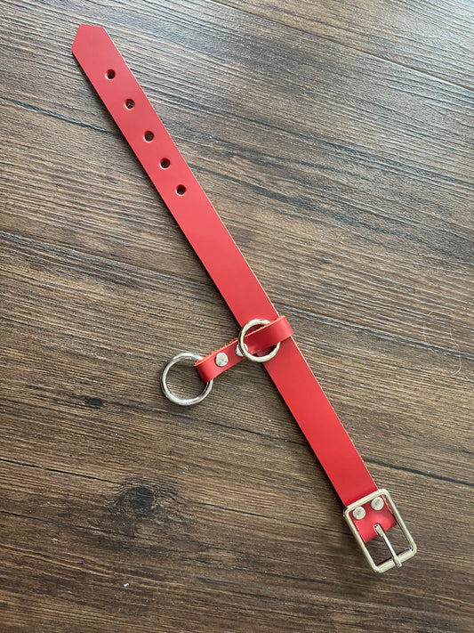 Red Supra Collar