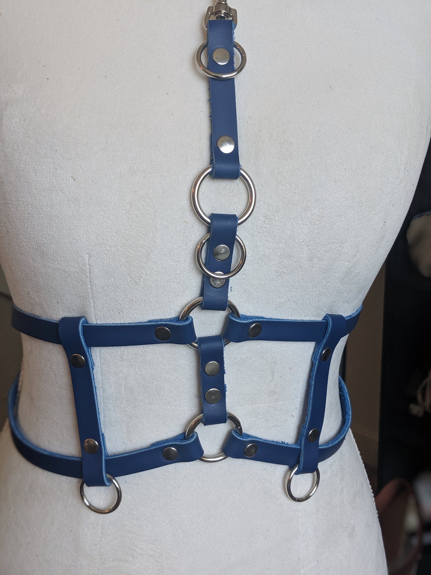 Complex Harness