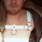 Ordo Harness