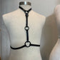 Simplex Harness