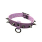 Spiked Supra Collar