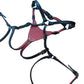 Regiis Strap-On Harness