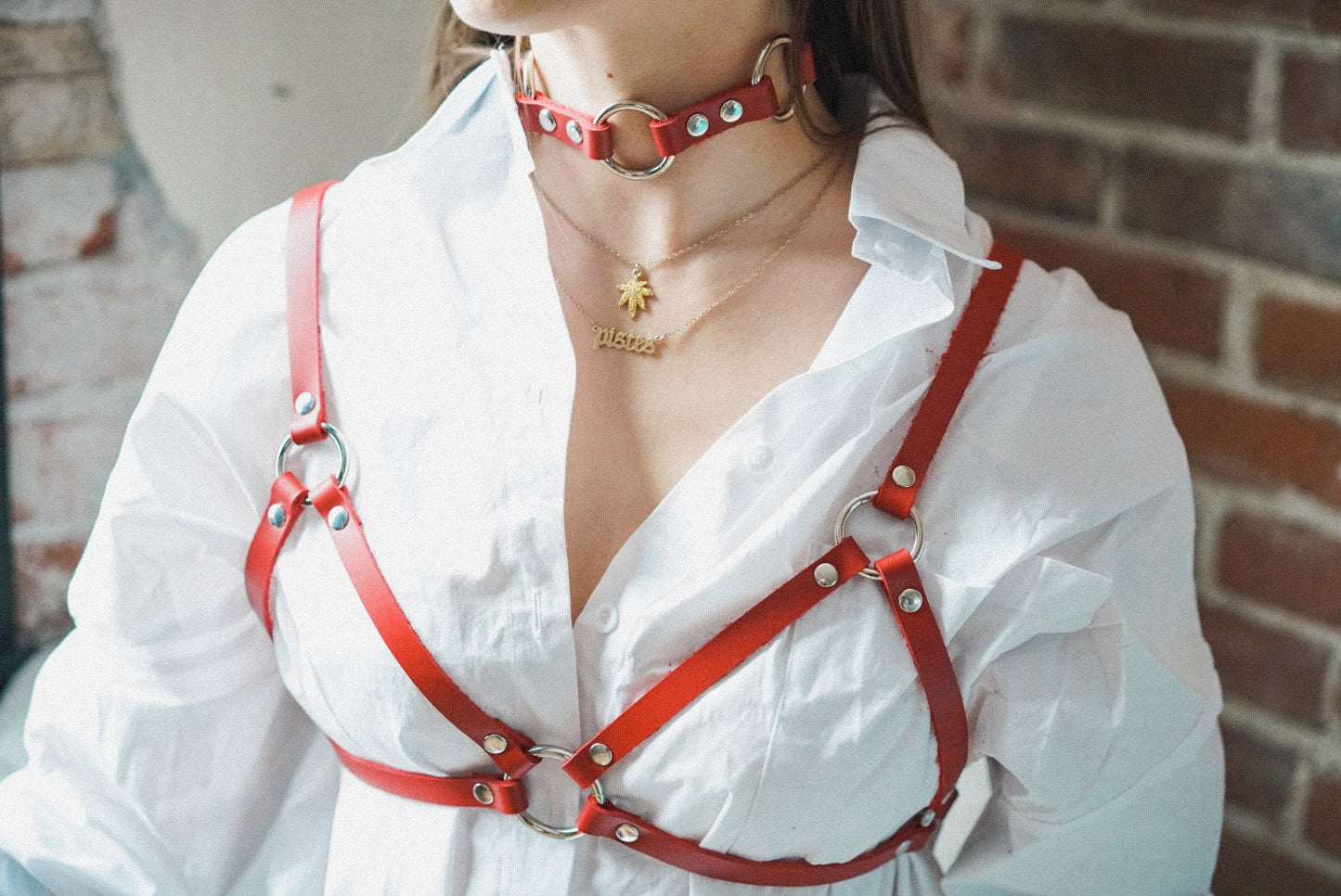 Levo Harness
